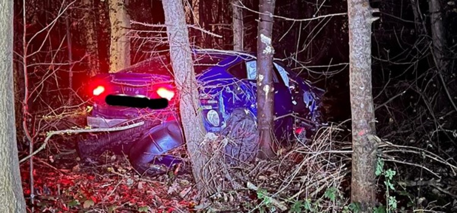 Car crashed into trees